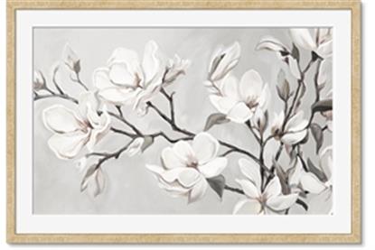 Picture of Magnolia Garden