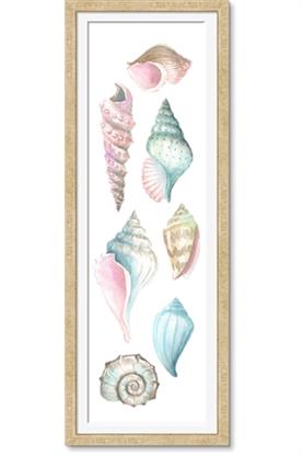 Picture of Sea Shells Pastel