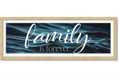 Picture of Family is Forever