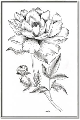 Picture of Flowers and leaves (Foil)