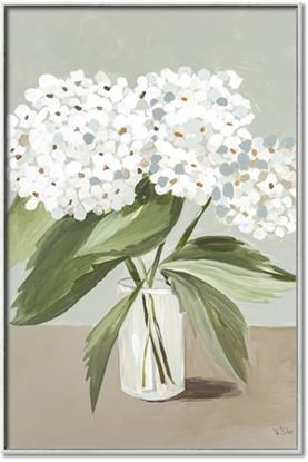 Picture of White Hydranga