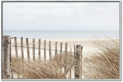 Picture of Past the Fence