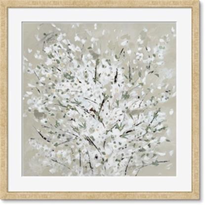 Picture of Baby's  Breath