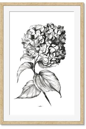 Picture of Flowers and leaves II