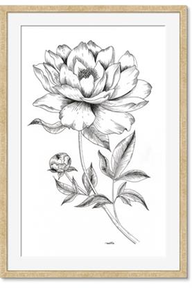 Picture of Flowers and leaves (Foil)