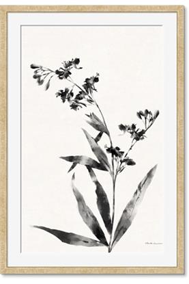 Picture of Rowan Tree
