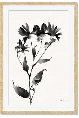 Picture of Black flower II (Ink border black )
