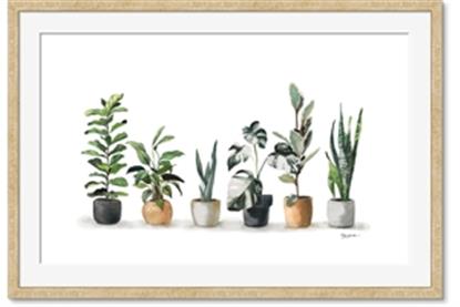 Picture of Pots with plants