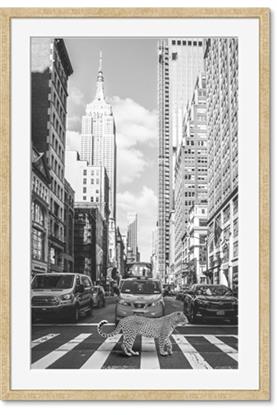 Picture of Big Cat on street of NY