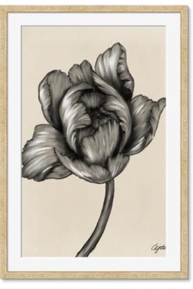 Picture of Spring-blooming II