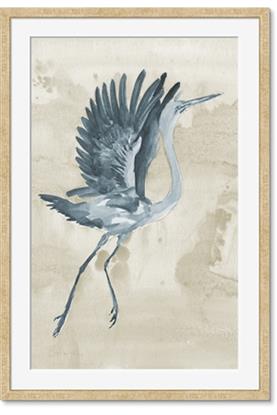 Picture of Pelican Flight