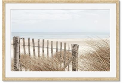 Picture of Past the Fence