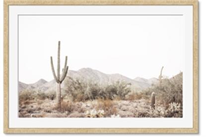 Picture of Photography Terrain