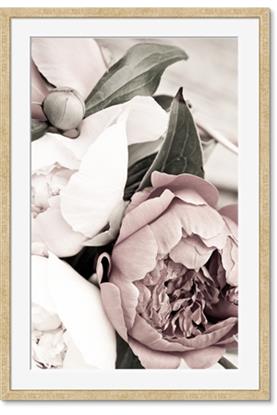 Picture of Pink Bloom