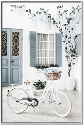 Picture of White Bike 