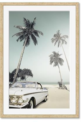 Picture of Palms & Cool Car