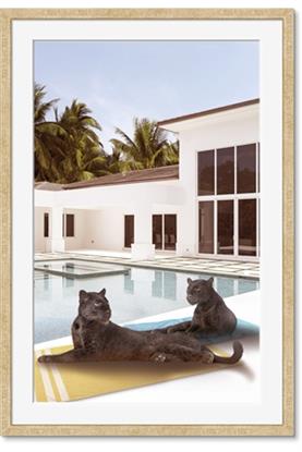 Picture of Panther Lounge