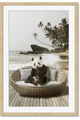 Picture of Panda Sitting on Sofa