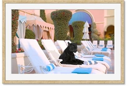 Picture of Black Panther Lounge