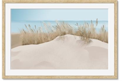 Picture of Sand Bars