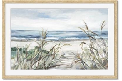 Picture of Beach Grass