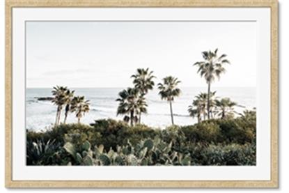 Picture of Palms Above the Sea