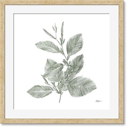 Picture of Leafy Look II