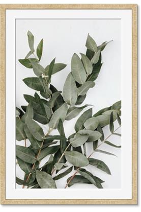 Picture of Sage Love