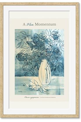 Picture of A blue Momentum