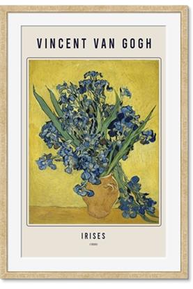 Picture of Irises