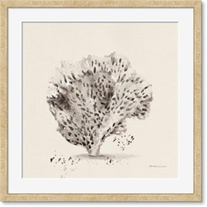 Picture of Coral Sketch II