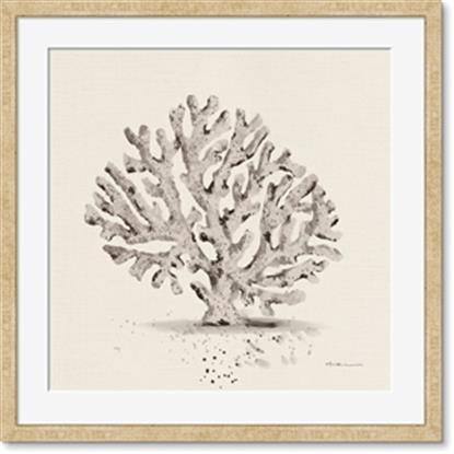 Picture of Coral Sketch I