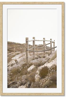 Picture of Oversea