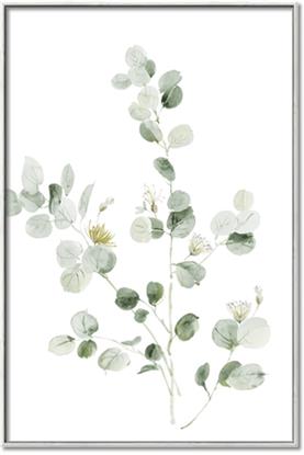 Picture of Effloresce