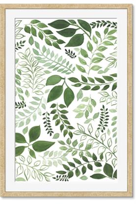 Picture of Watercolor Ferns II