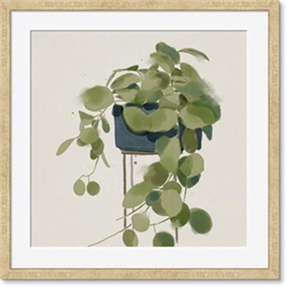 Picture of Plant in Black Pot I