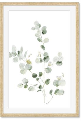 Picture of Effloresce
