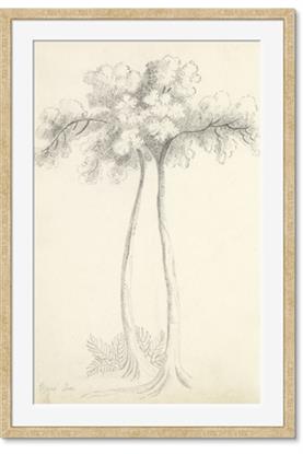 Picture of Tall Tree I