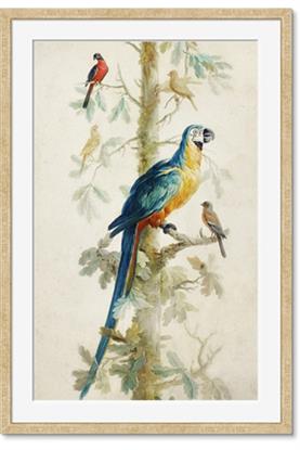 Picture of Five Birds