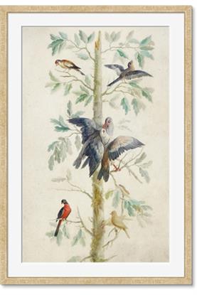 Picture of Six Birds