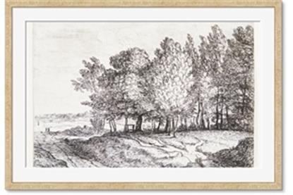 Picture of Windy Trees