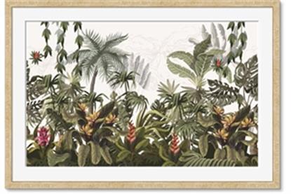 Picture of Jungle Flowers 