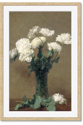 Picture of petals white