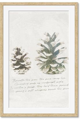 Picture of Pinecone Tidings II