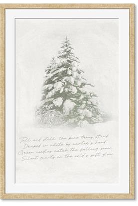Picture of Holiday Pines