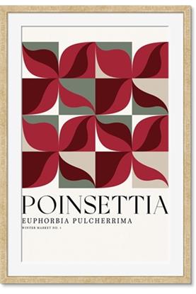 Picture of Poinsettia