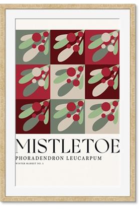 Picture of Mistletoe