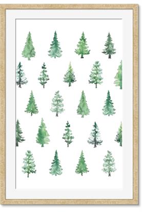 Picture of Christmas Trees