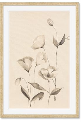 Picture of The Language of Petals II