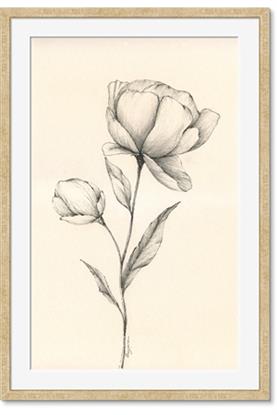Picture of Blossoms in Stillness